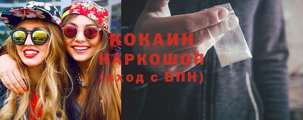 гидра Богородицк