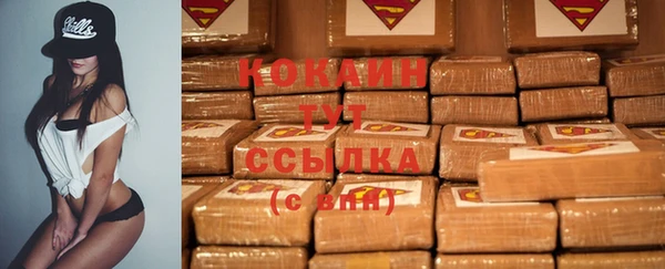 гидра Богородицк