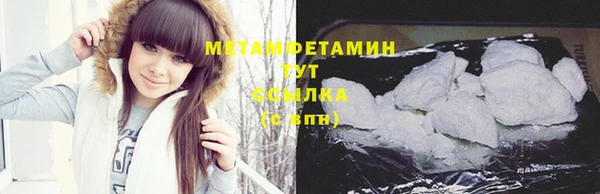 гидра Богородицк