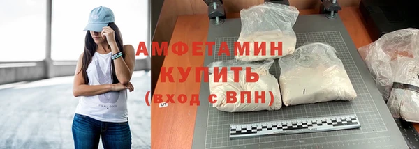 гидра Богородицк