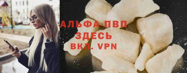 гидра Богородицк