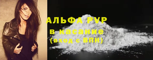 гидра Богородицк
