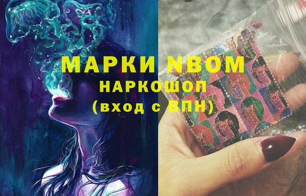гидра Богородицк