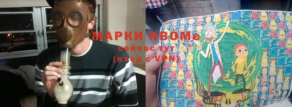 гидра Богородицк