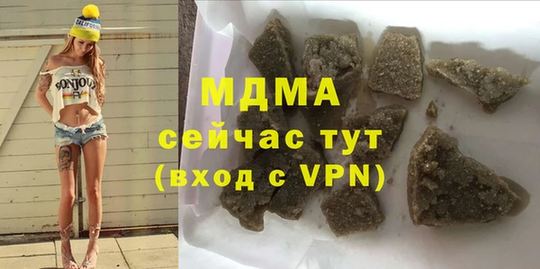 гидра Богородицк
