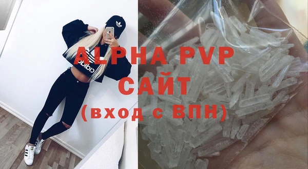 гидра Богородицк