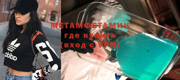 гидра Богородицк