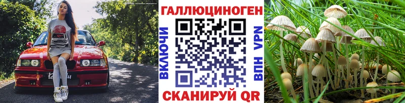 Купить  Мамадыш  Галлюциногенные грибы прущие грибы 