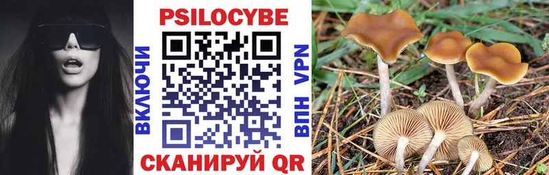 Галлюциногенные грибы GOLDEN TEACHER Мамадыш